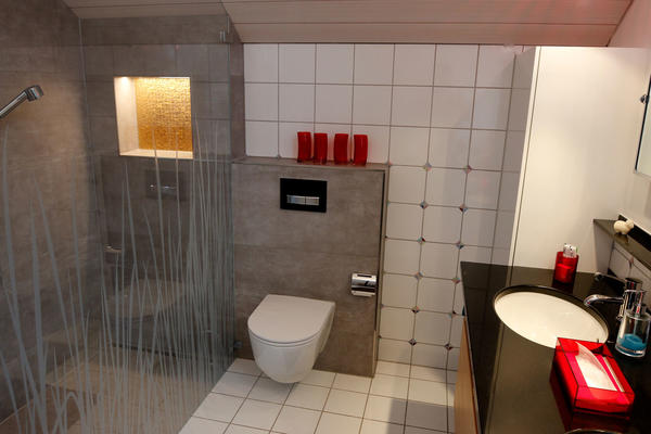 Neues Badzimmer mit Dusche und Toilette 1