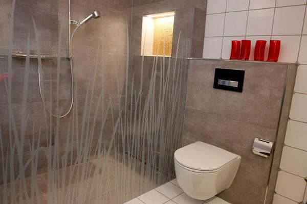 Neues Badzimmer mit Dusche und Toilette 1